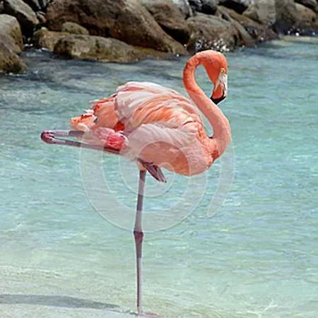 Casa Il Nuraghe 公寓 *